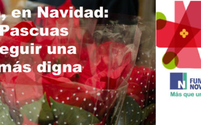 Més que una flor… de Nadal!!!  Col·laborem amb la Fundació Novaterra