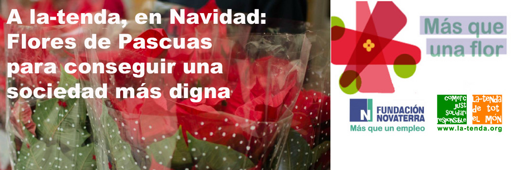 Més que una flor… de Nadal!!!  Col·laborem amb la Fundació Novaterra